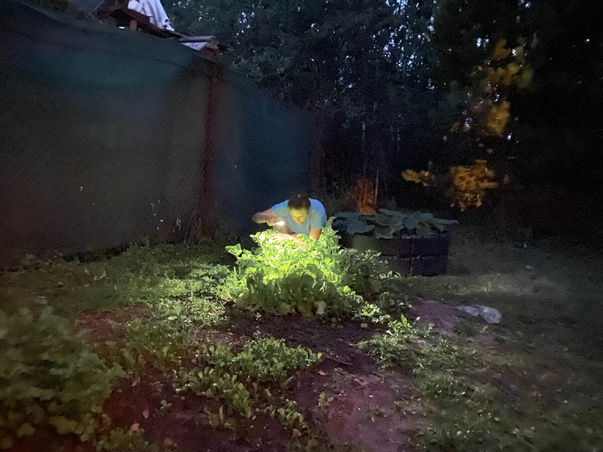 Фото автора канала для иллюстрации статьи