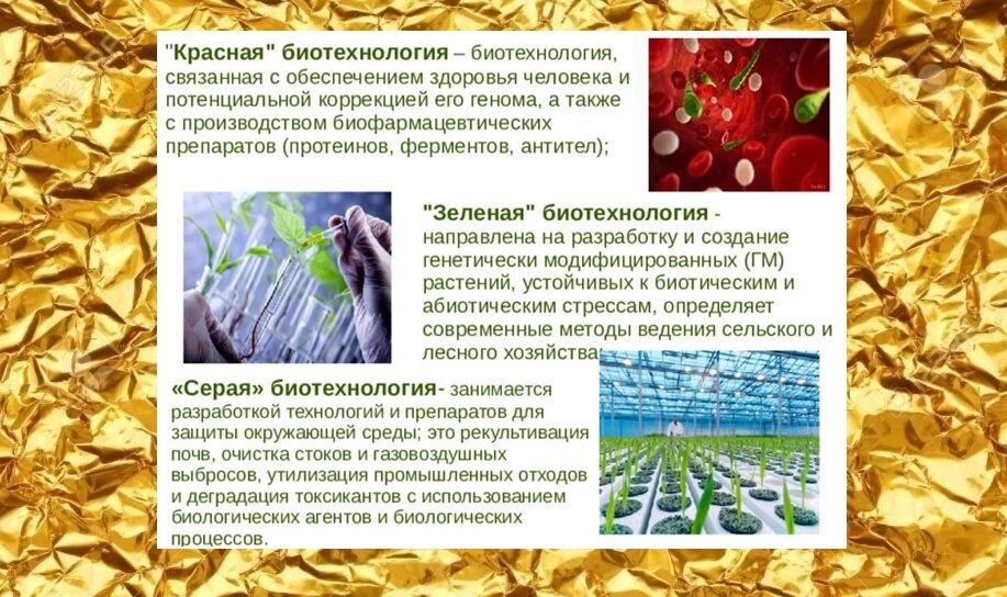 Красная биотехнология