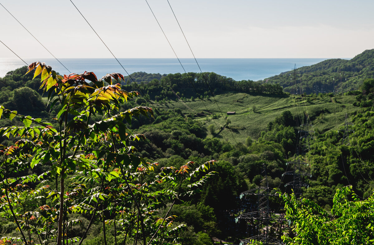 Вы можете увидеть высоковольтные линии на высоких мачтах. Но они к местным линиям энергоснабжения никакого отношения не имеют.