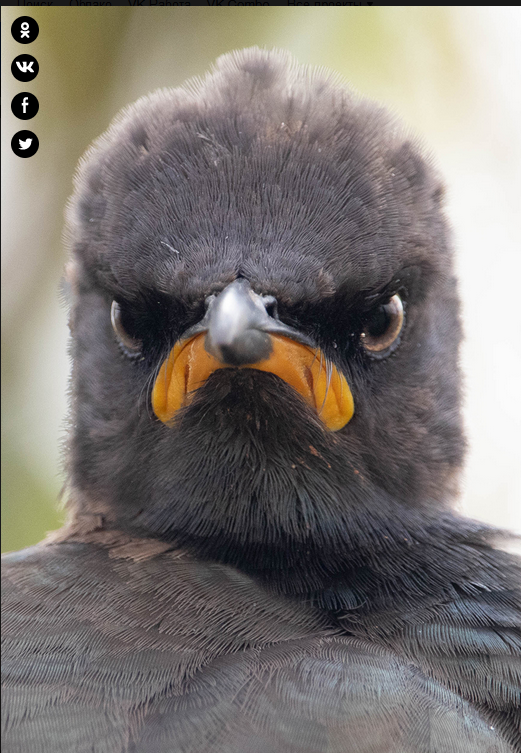Утро понедельника