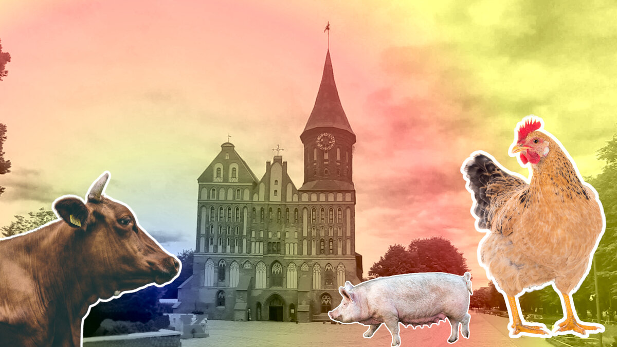 Текст, мысли и выводы - автора; изображения - автора и из свободных ресурсов