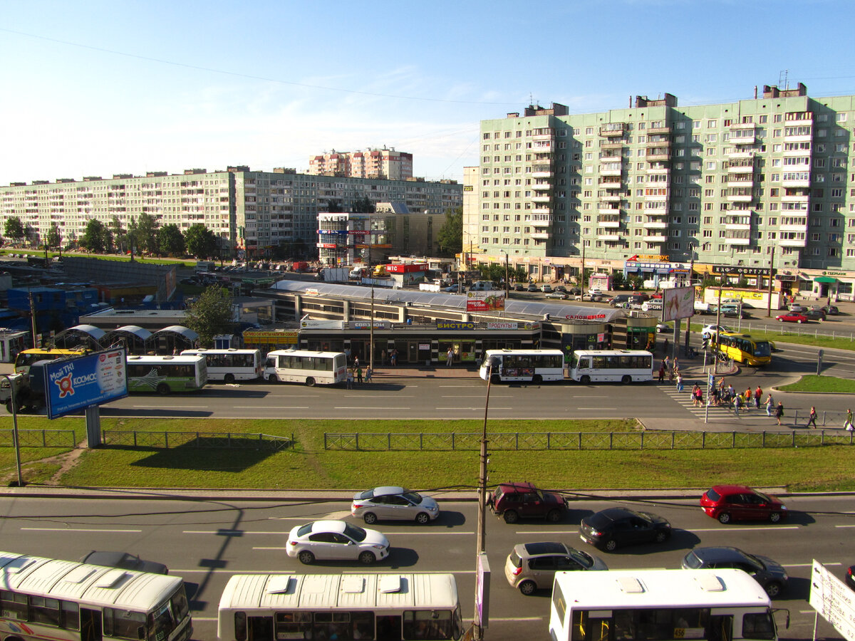 Проспект просвещения санкт петербург фото