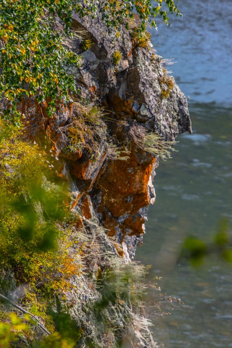 Дух тайги задумался о чём-то своём.. Походные фото