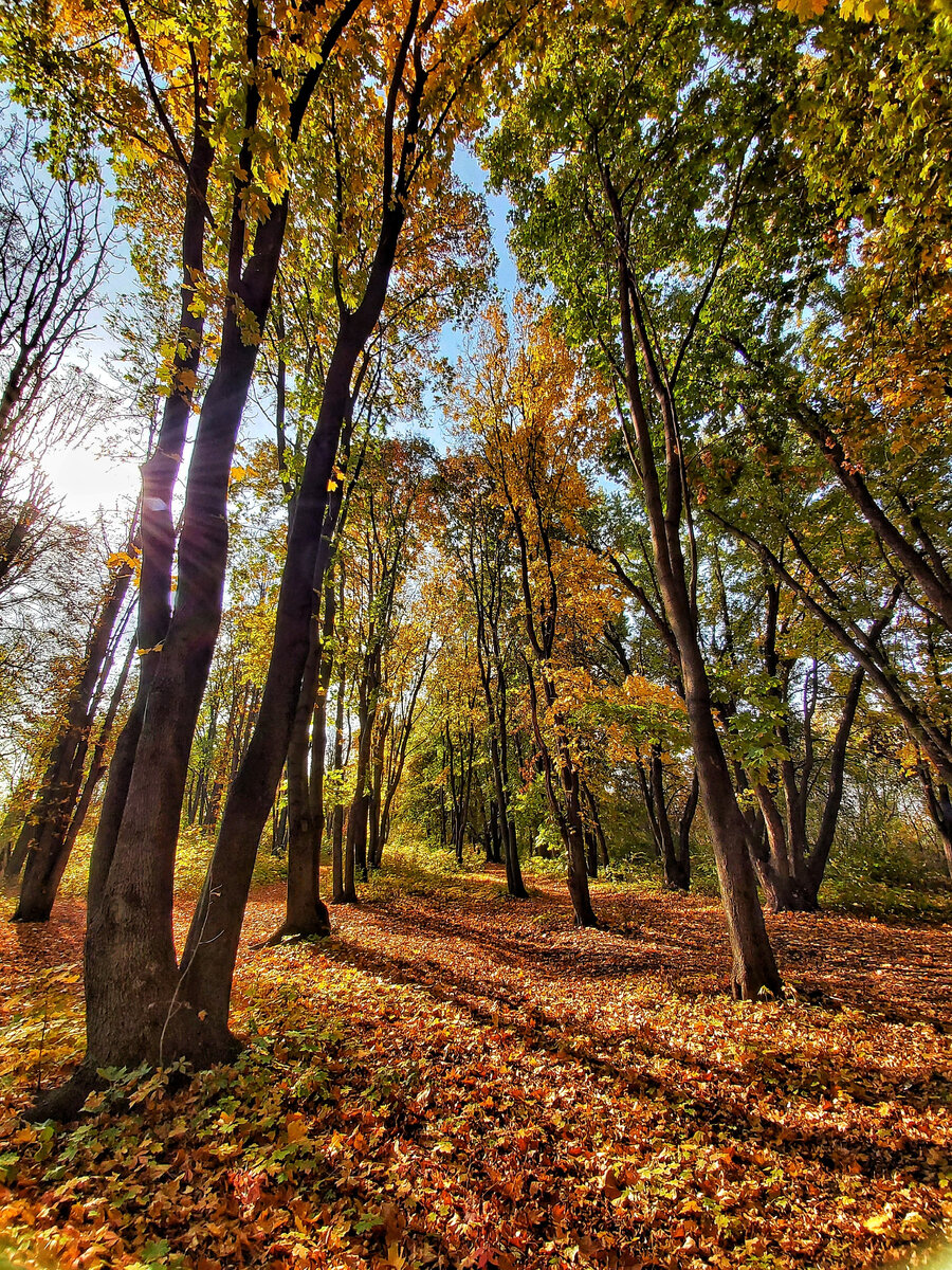 Photo by Евгения Пивоварова on Unsplash