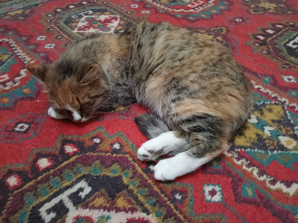 Фото автора