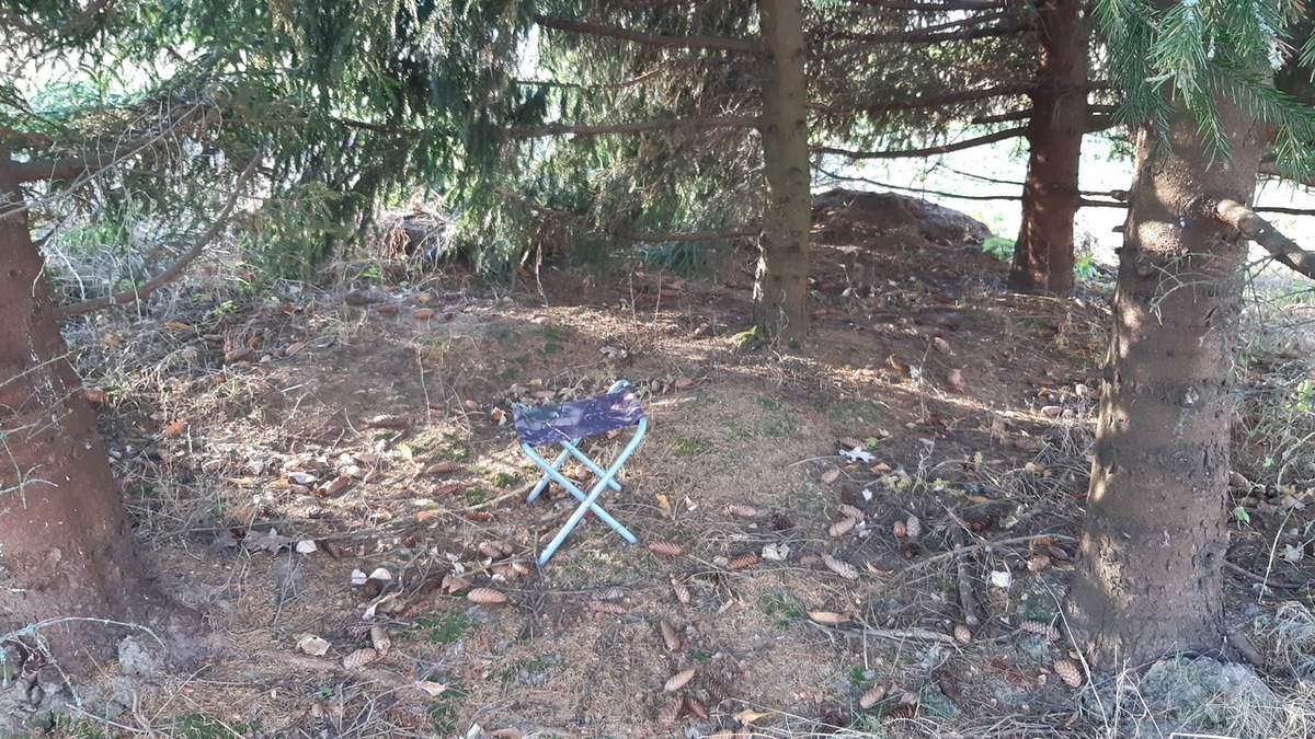 авторские фото