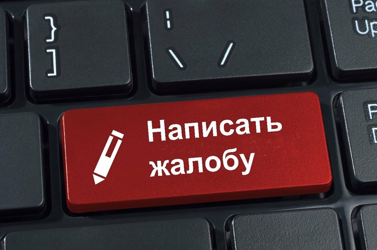 Источник: https://zen.yandex.ru/id/5ece462871a5c71483151b60