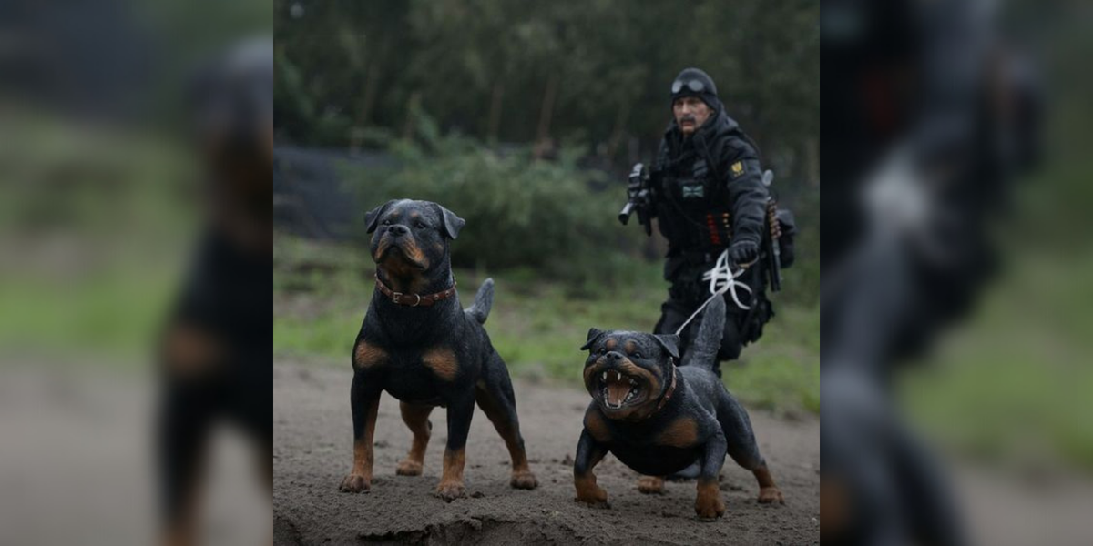 Не хотел бы я оказаться у них на пути! Фото с сайта - https://clck.ru/Yi6yf