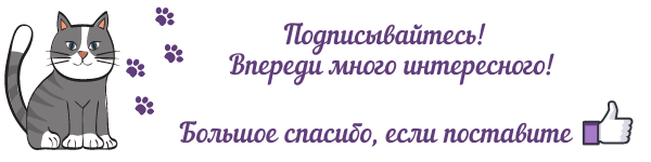 Что делать, если кот метит после кастрации?