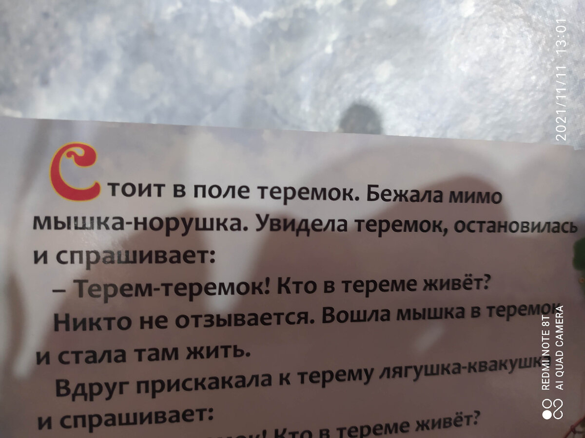 Времена в Теремке не согласуются с первых предложений. Издательство Буква-Ленд.