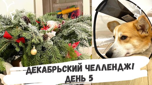 Декабрьский челлендж: день 5!