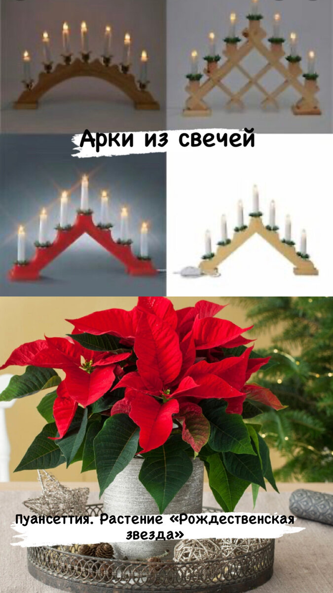 Подборка фото из открытых источников интернета