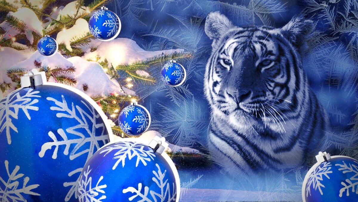 https://static.riafan.ru/uploads/2021/12/23/orig-227-1640270774.jpeg