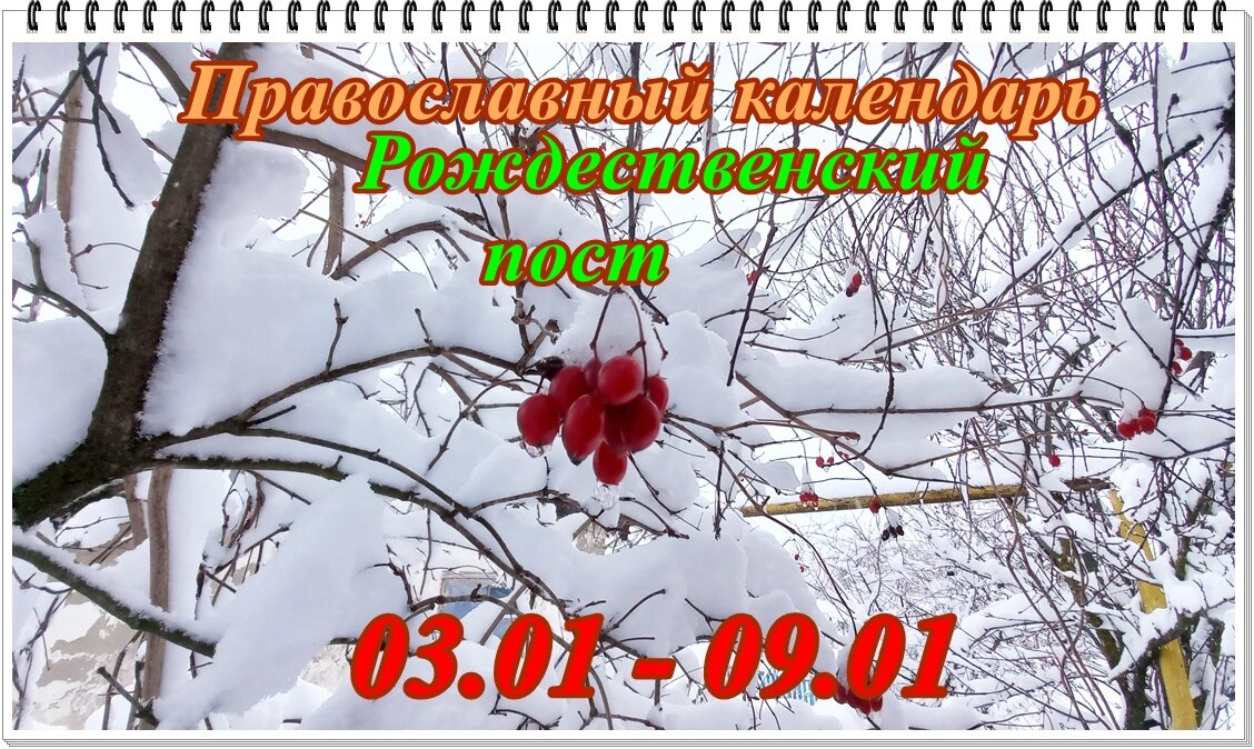 «Одна из глобальных миссий России — репатриация христианства в Европу» / спогрт.рф