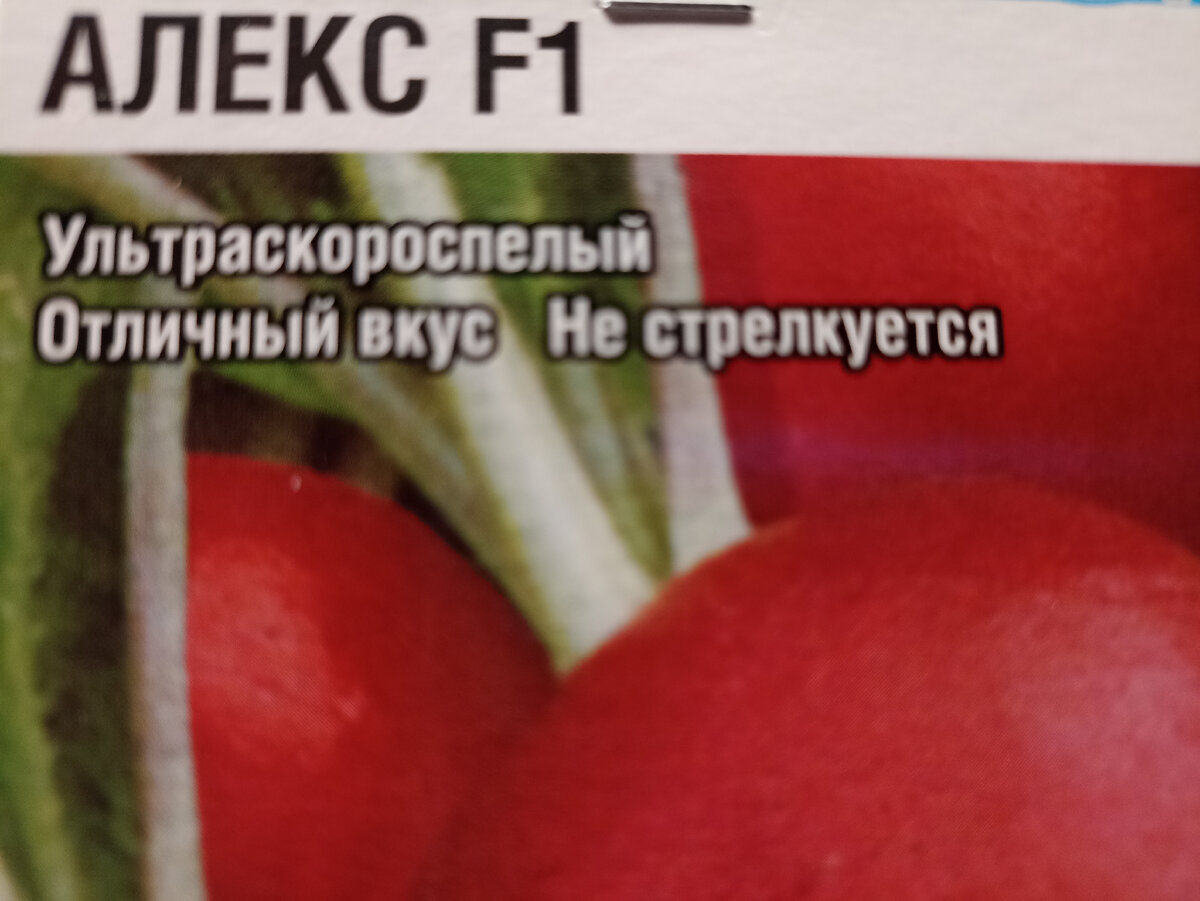 Редис Алекс F1 скороспелый гибрид  (16 дней) Агрофирмы "Сибирский сад" Фото автора