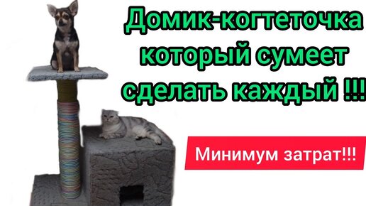 Классификация