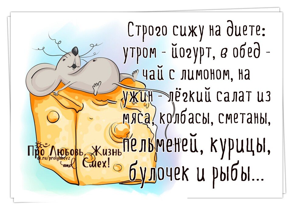 диета прикол. приколы про диету. диета карикатура. диета прикол. диета прикол.