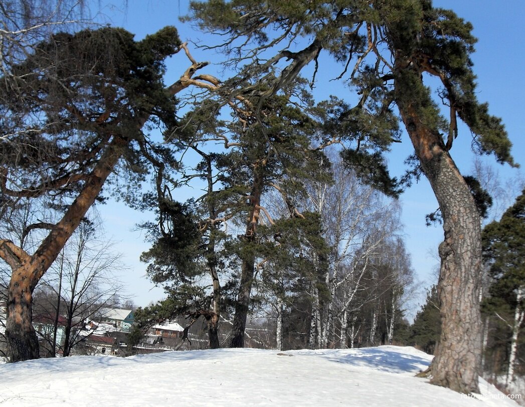 Для тех, кто любит путешествовать: Городец | СОЮЗница | Дзен