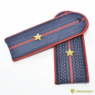 Погоны младшего лейтенанта. В известной песне Игоря Николаева всегда царапало несообразие вот этого: "... только ДВЕ ЗВЕЗДЫ упали на его ПОГОН. 