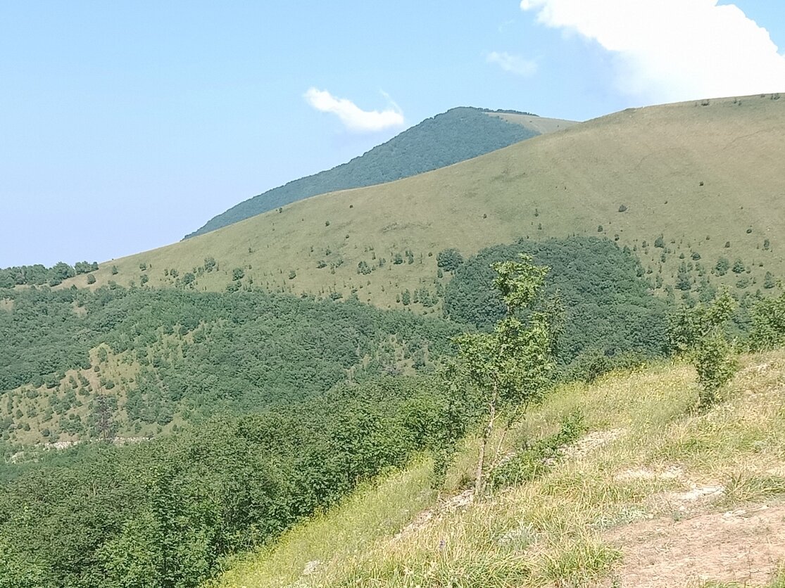 Жизнь преподносит горы трудностей часто