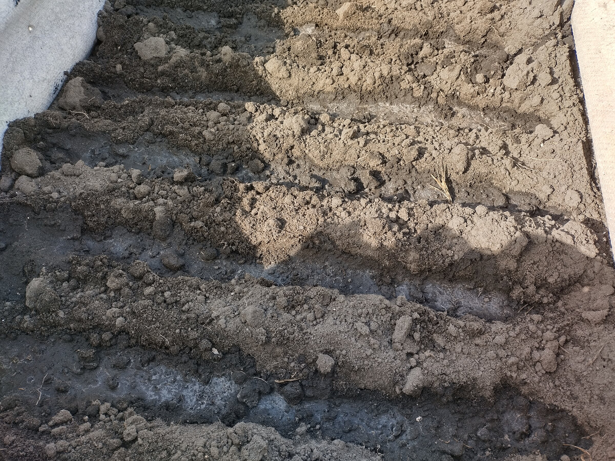 Готово к посадке