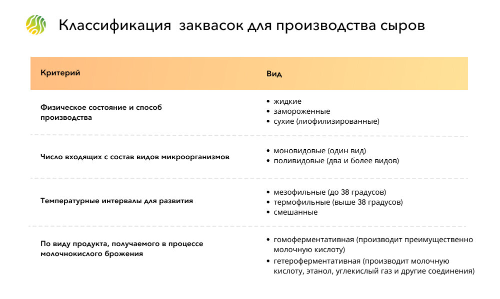 Что будет с организмом, если есть сыр каждый день? Отвечают нутрициологи