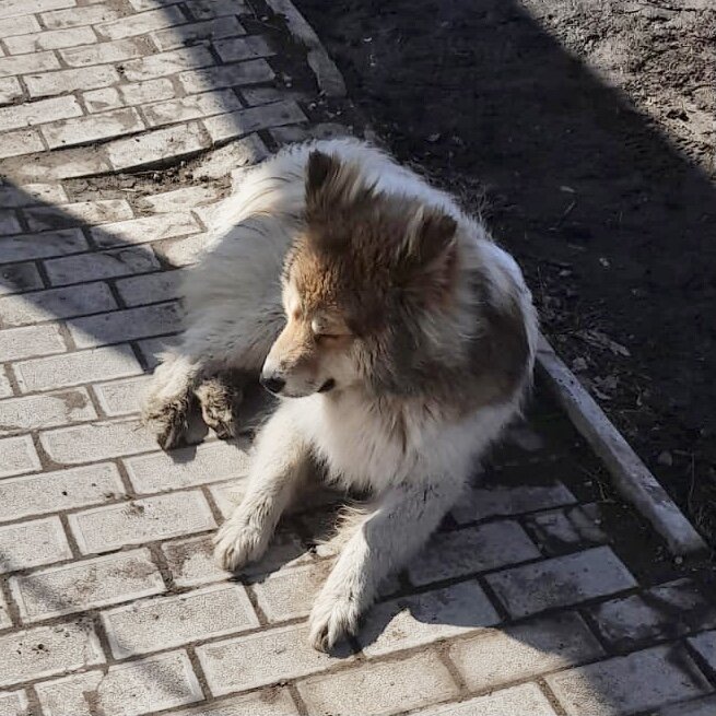 Вчерашнее фото