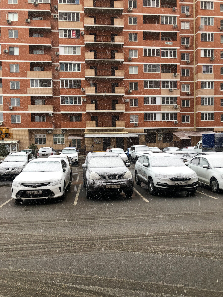 Краснодарский двор в середине февраля.
