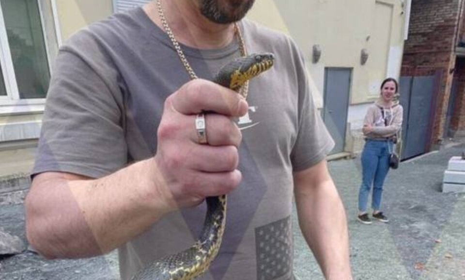 Хотела проехать «зайцем». Кадр из видео