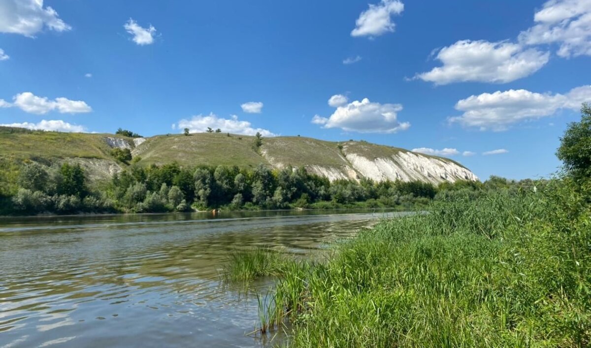 Воронеж река дон