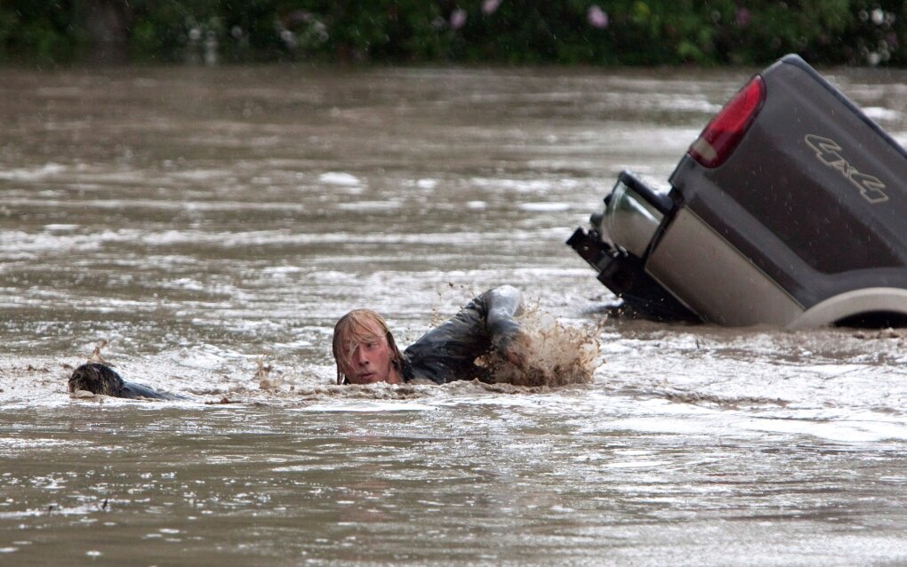 Источник фото: https://www.ctvnews.ca/canada/momo-the-cat-safe-after-dramatic-escape-from-truck-in-alberta-flood-1.1336311