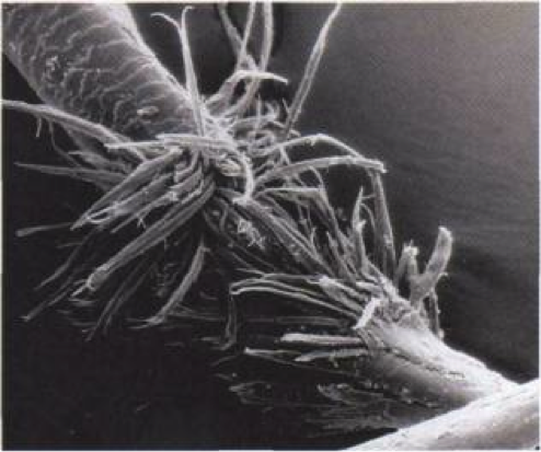 Опасные последствия кератина: повреждение волос после разрушения дисульфидных связей