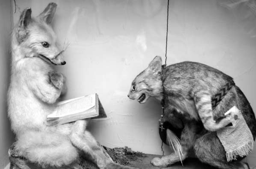 предок упоротого лиса и его друг упоротый кот