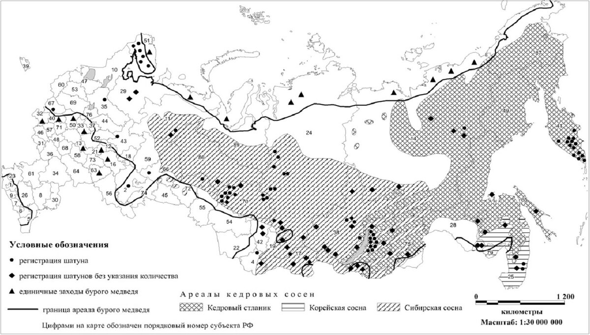 Карта регистраций шатунов бурого медведя в Российской Федерации из статьи Пучковского, Рублевой, Буйновской, 2019.