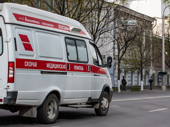     Фото: МК на Дону