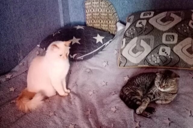    Фото: личный архив/ Александра Пестина