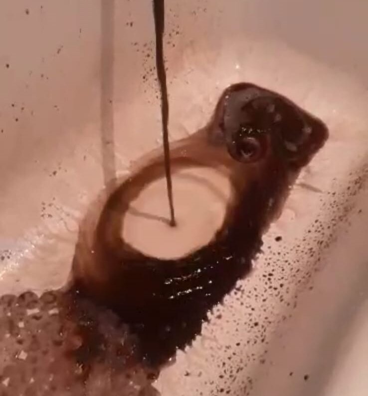    Вот такая вода текла из кранов сельчан. Фото: Из личного архива/ Газгаджи Газиев