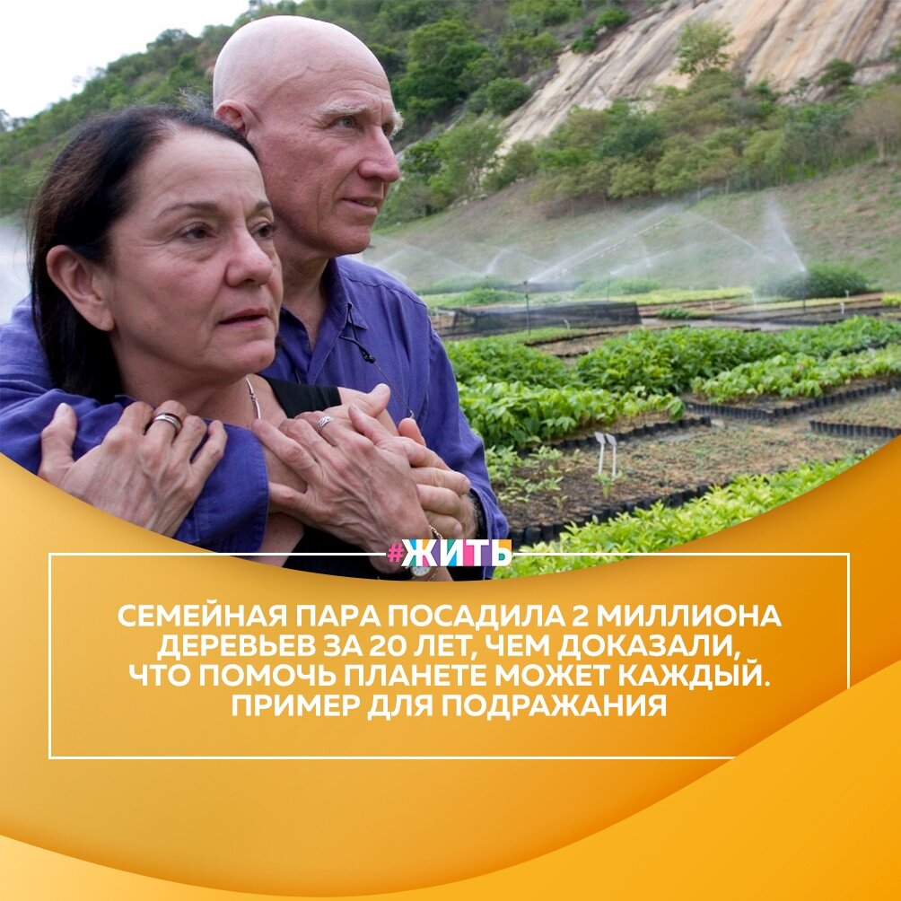 С 1990 года с Земли навсегда исчезли 129 миллионов гектаров леса, площадь, почти эквивалентная по размеру Южной Африке. Территория, примерно равная по размеру стране Панаме, теряется каждый год😔 
Что делать для борьбы с этой масштабной экологической катастрофой?🤔

Один фотограф и его жена решили показать, на что способна даже небольшая группа энтузиастов в деле восстановления леса. Они посадили 2 миллиона деревьев за 20 лет, чтобы восстановить разрушенный лес, и даже животные вернулись👍

Чтобы сделать наш общий дом лучше, нужно брать пример с этих людей😍

#жить #проектжить