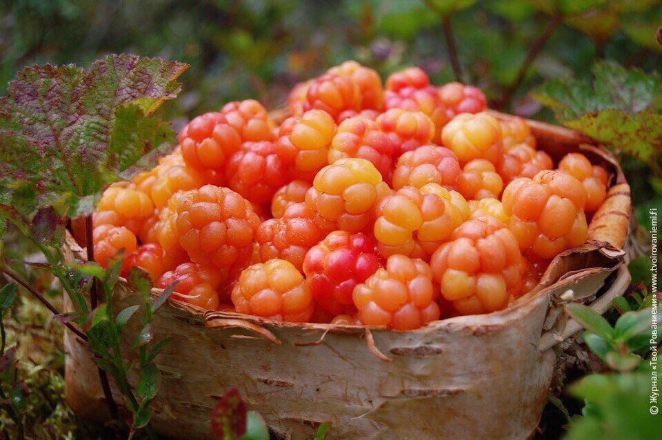 Эта тара восполнит ваш организм всеми нужными витаминами на целый год