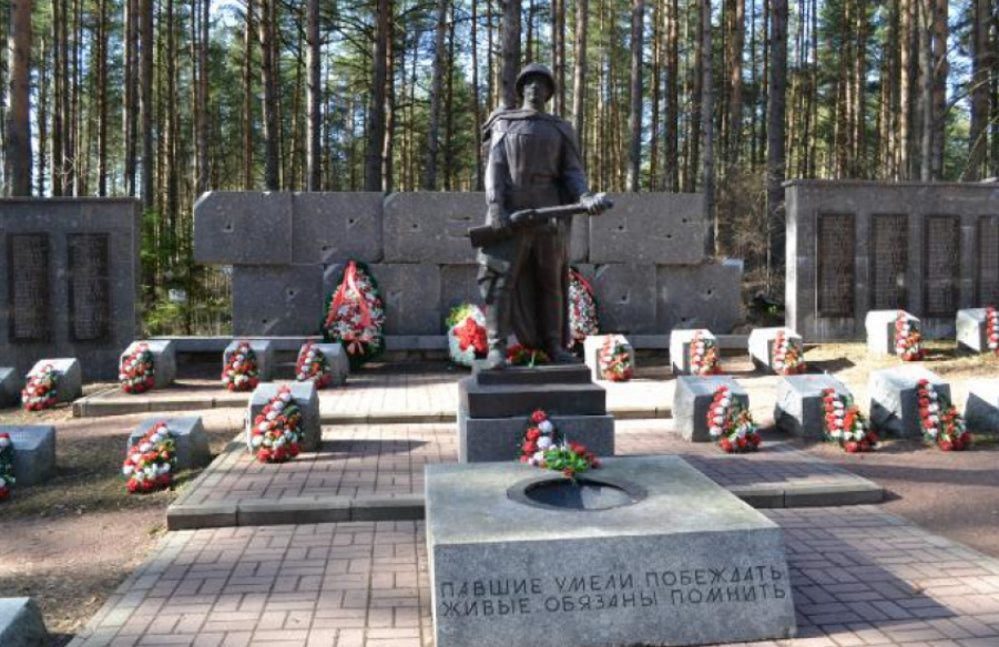 Могилы павших воинов. Памятник неизвестного солдата СПБ. Сестрорецкое воинское мемориальное кладбище, Сестрорецк. Санкт-Петербург Братская могила мемориальный. Кладбище в Санкт-Петербурге Братские могилы.