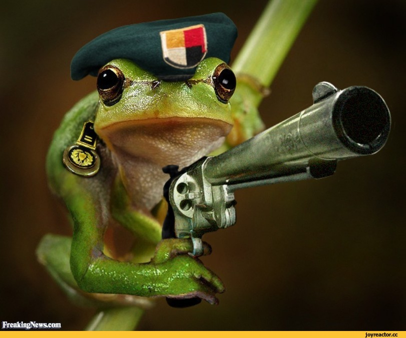 "- Только попробуй, я тебе сам модуль вставлю в печень через ухо!" - Капрал Фрогг