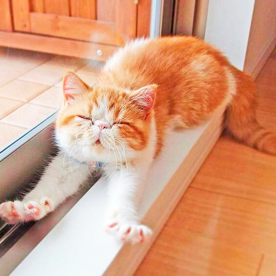 Фото из pinterest.ru