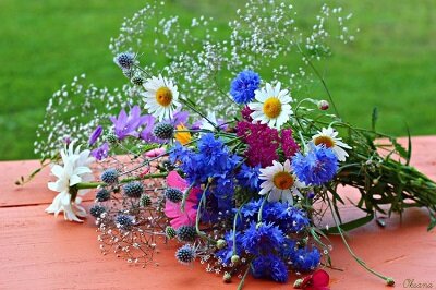 Тамара Коханская