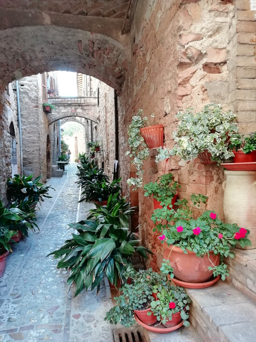 Все улицы украшены цветами