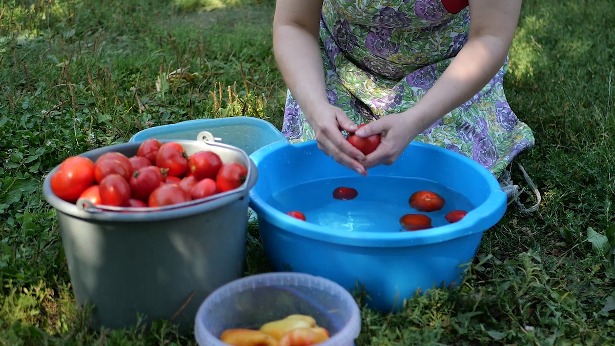 Зимой открыли банку и было так вкусно. Квашеные помидоры с сахаром как из  бочки, без стерилизации. (часть 1) | Вкусный рецепт от Людмилы Борщ | Дзен