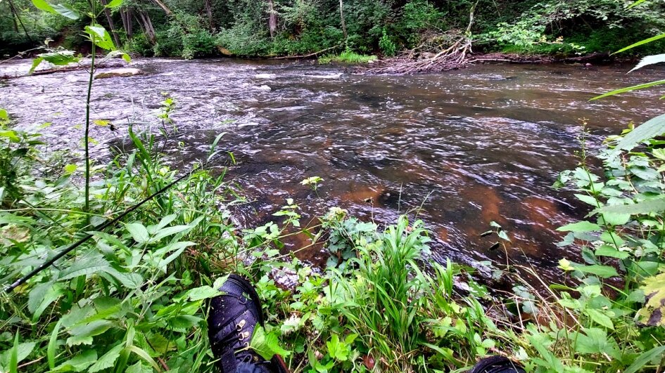 Реки с сильным течением и каменистым дном - лучшее место для ловли форели летом