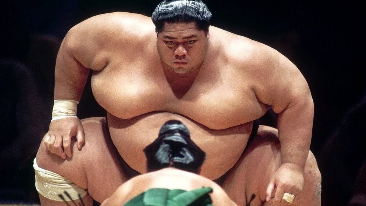 Борец сумо во всей красе.