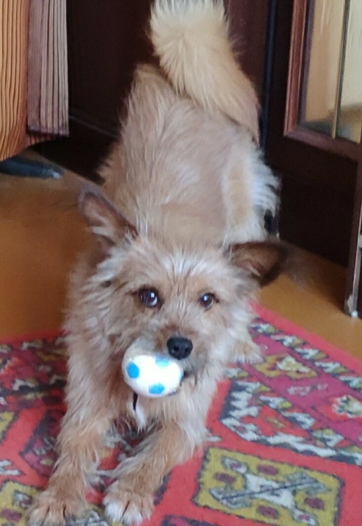 Кто, если не я !