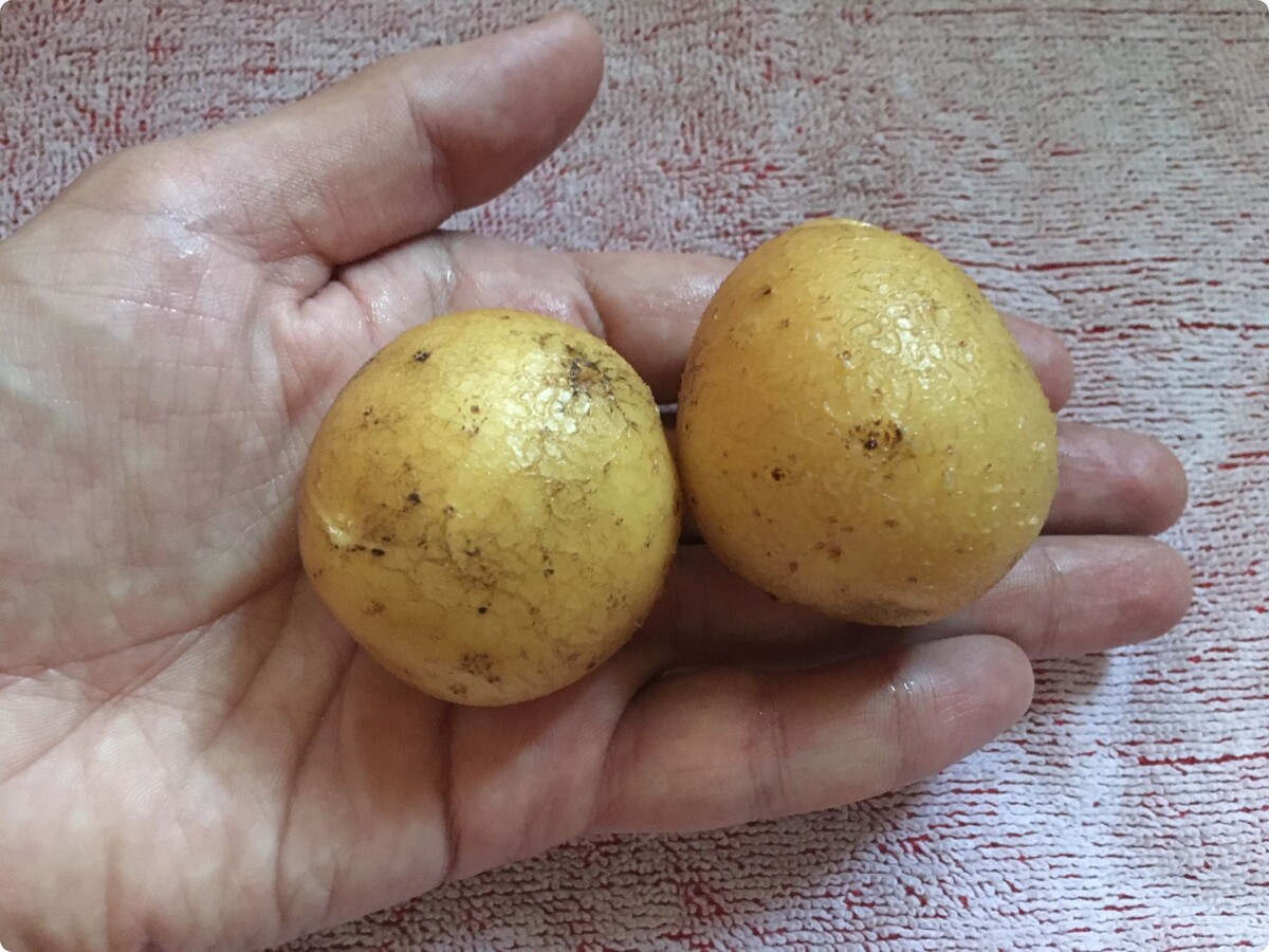 Фото автора.