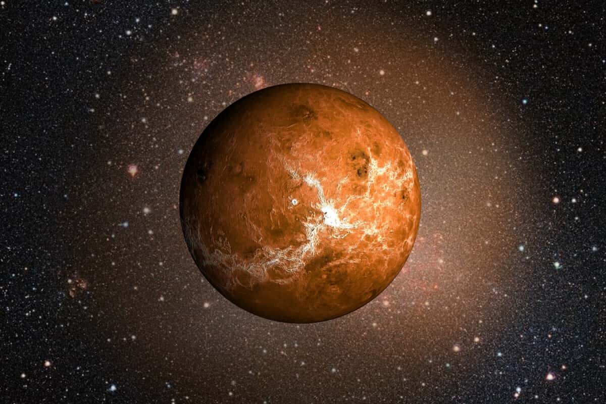 Фото яндекс картинки